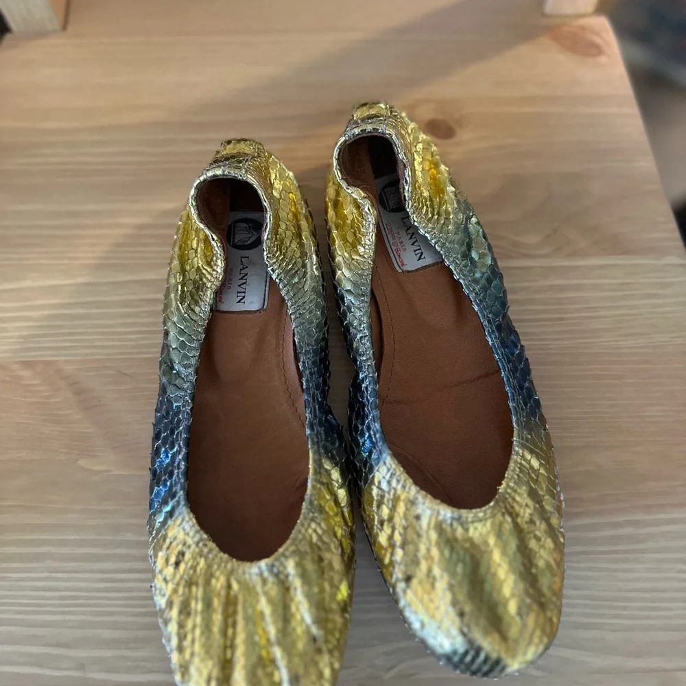 Lanvin Exotic Ballet Flats - Picture 5 of 10